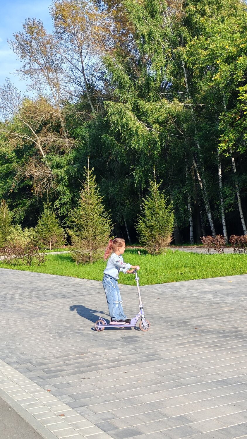 Photo #12612182
