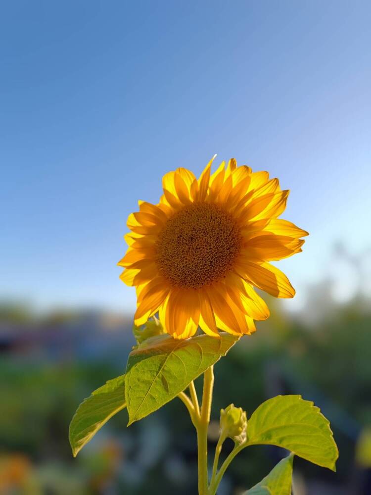 Фотография автора Владимир Ли
