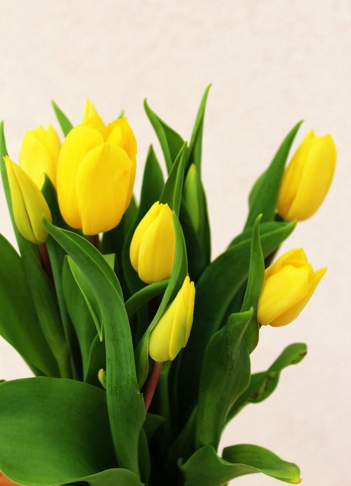 Photograph by Ольга Антанавичене