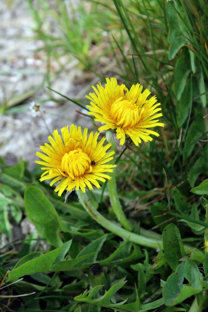 Photograph by Ольга Антанавичене