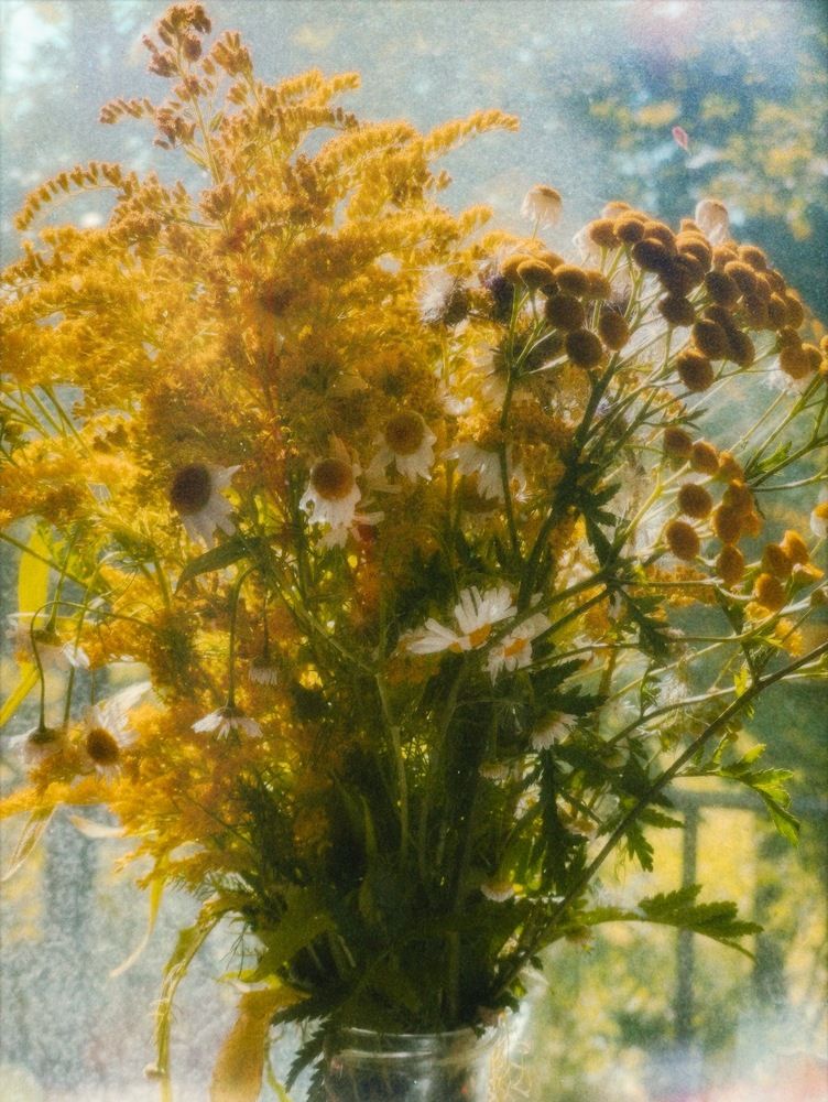 Photograph by Екатерина Парфёнова