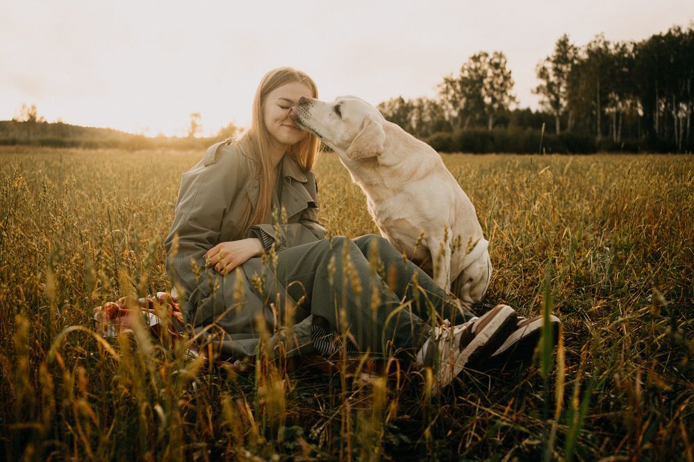 Unconditional love (безусловная любовь)
