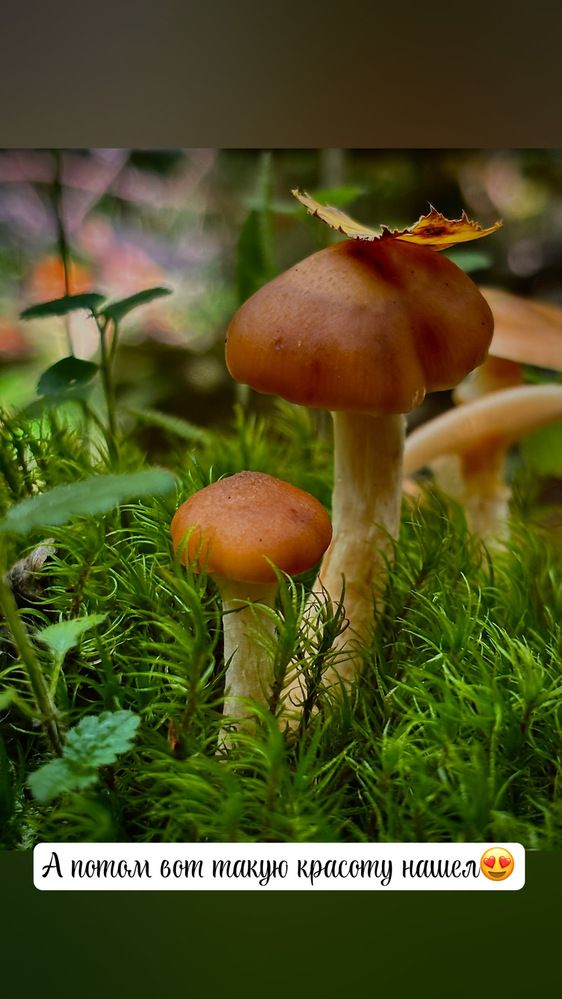 Photograph by Антон Тимошевский