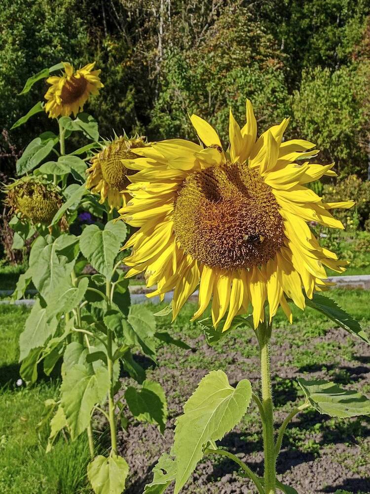 Photograph by Sergey Kurkov-Tarkovsky