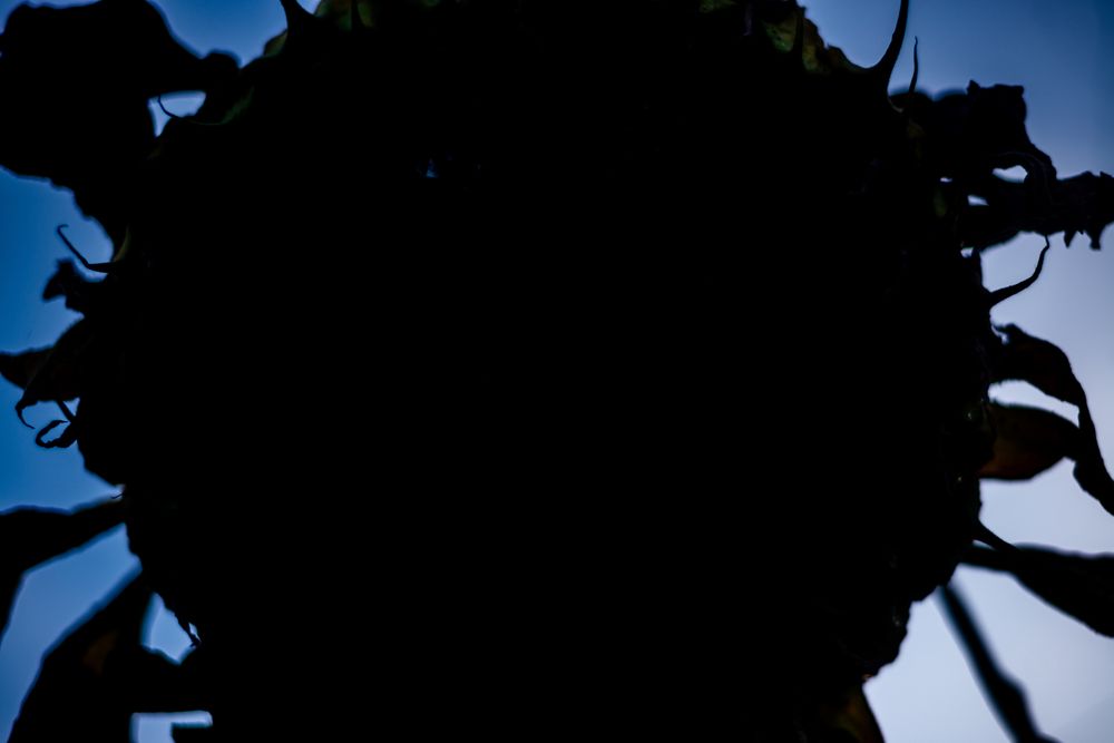 Фотография автора Михаил Бушенёв