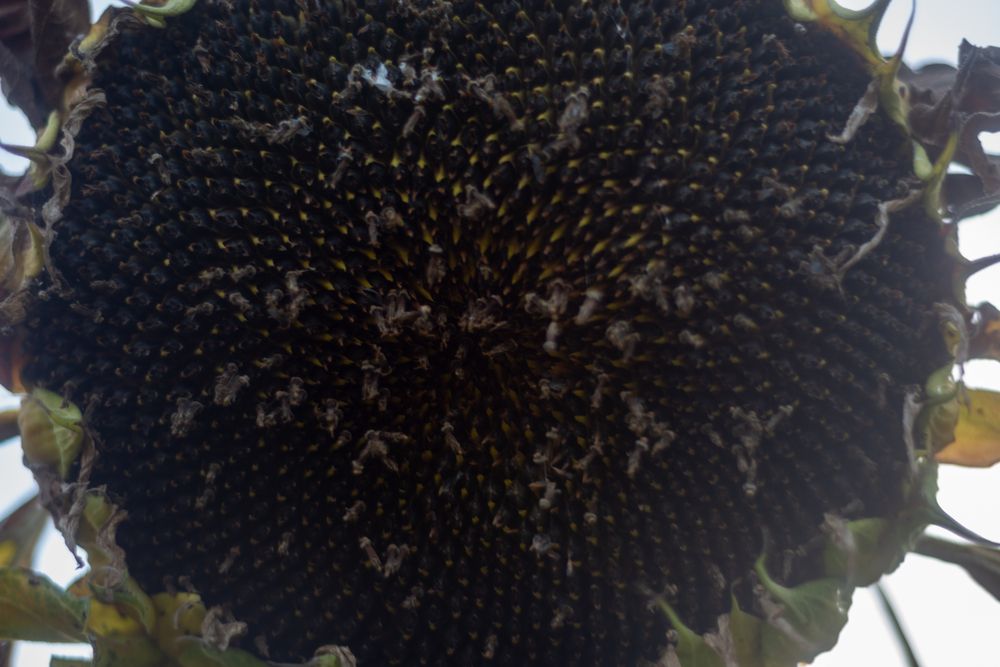 Фотография автора Михаил Бушенёв