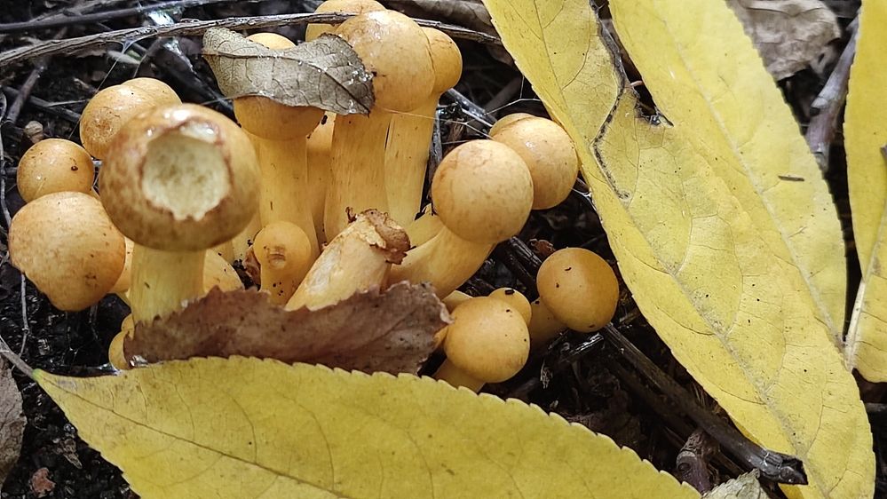 Photograph by Олена Бокова