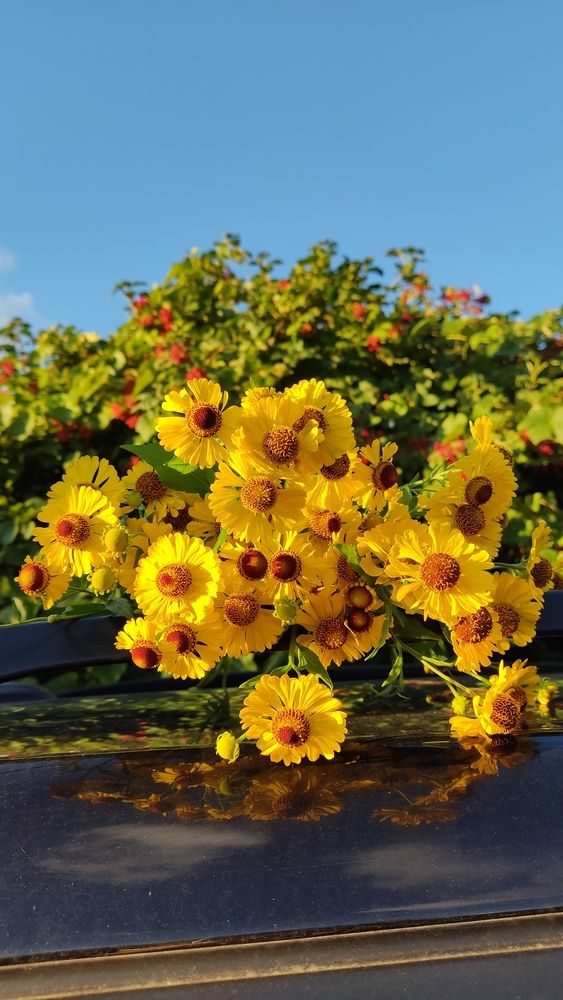 Photograph by Олена Бокова