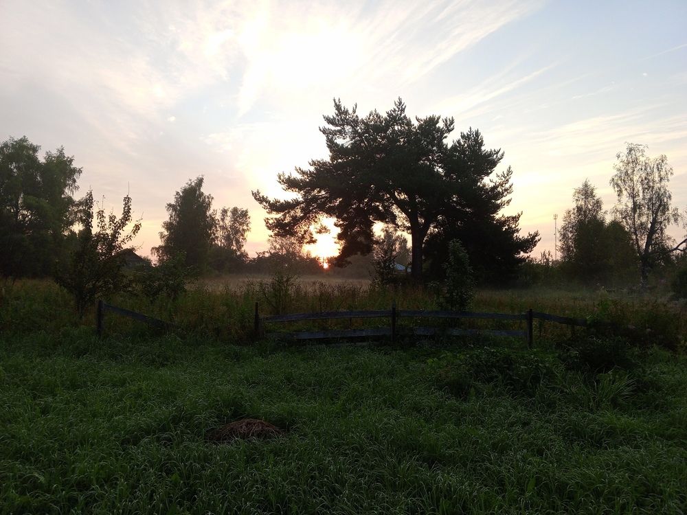 Photo #12612421