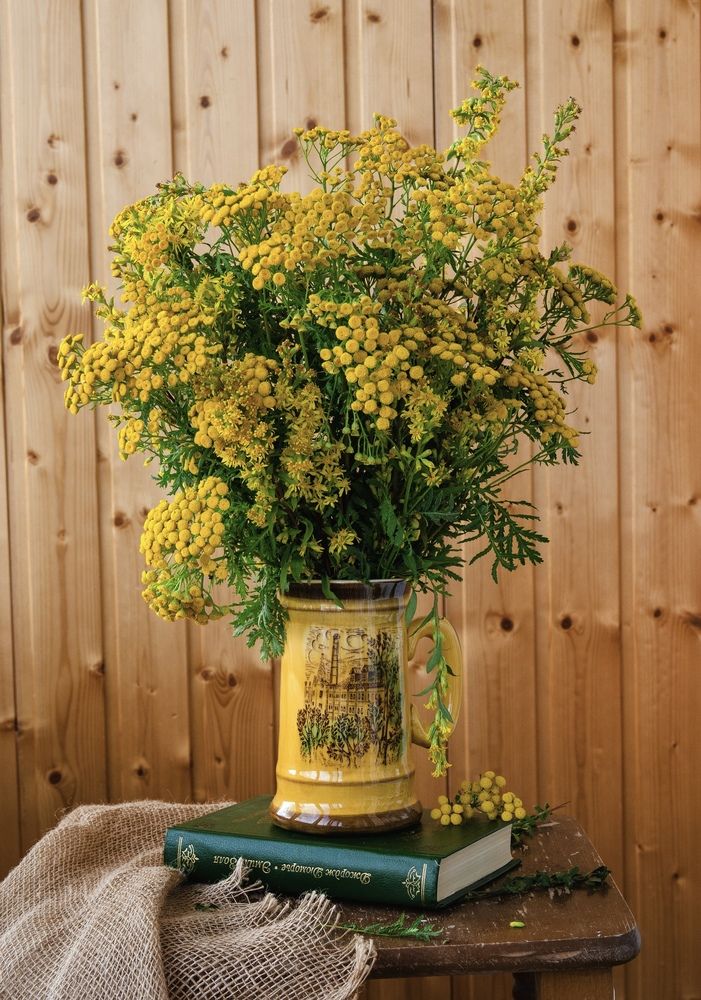 Photograph by Татьяна Зуйкова