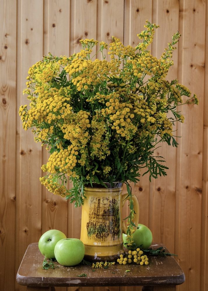 Photograph by Татьяна Зуйкова