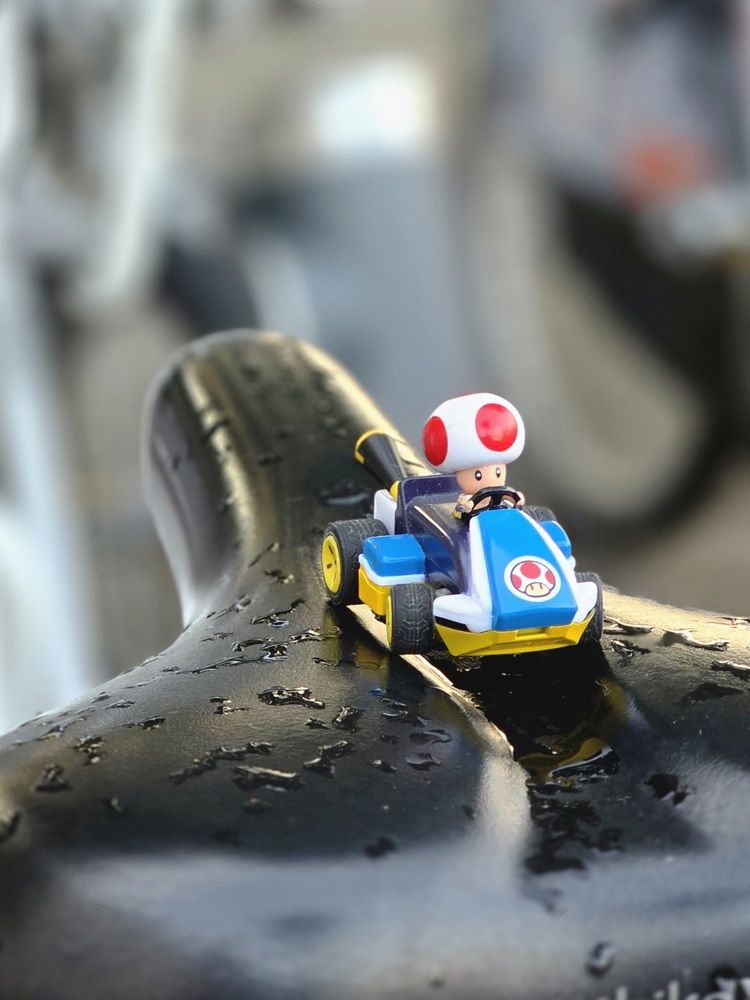 Photograph by Natalia