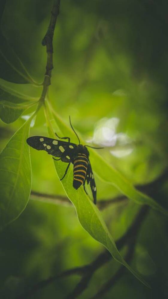 Photograph by Krishnaa Abilshan