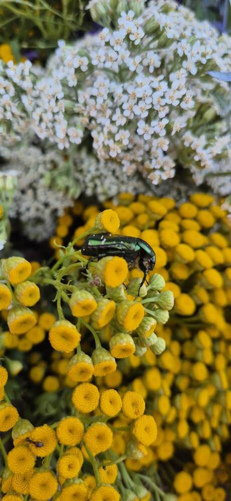 Фотография автора Ольга Мусина