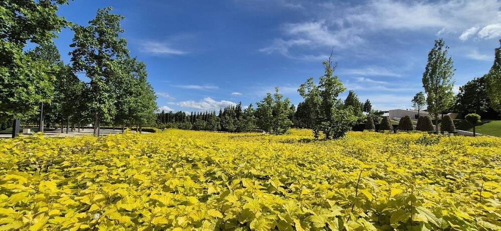 Фотография автора Ольга Мусина