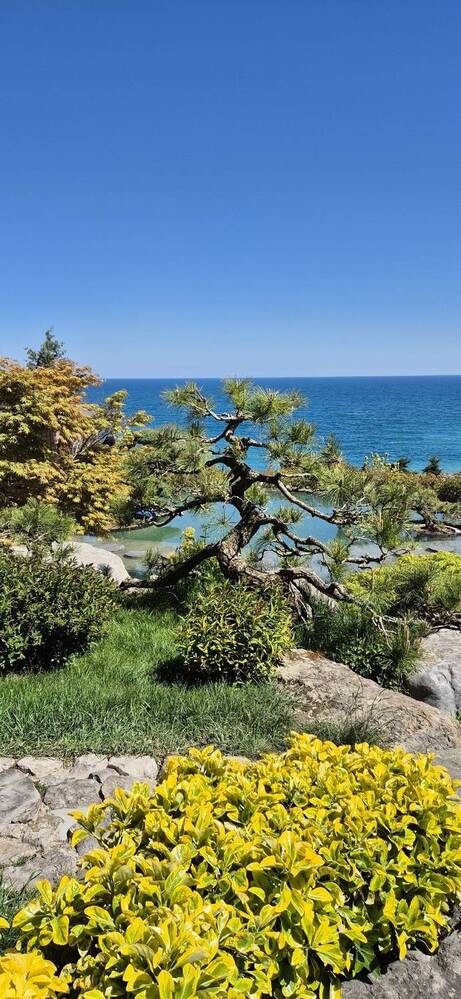 Фотография автора Ольга Мусина