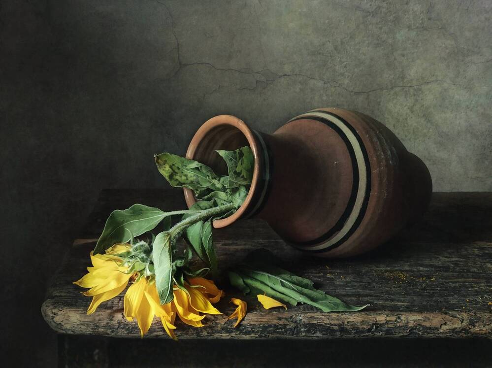 Photograph by Elena Novikova