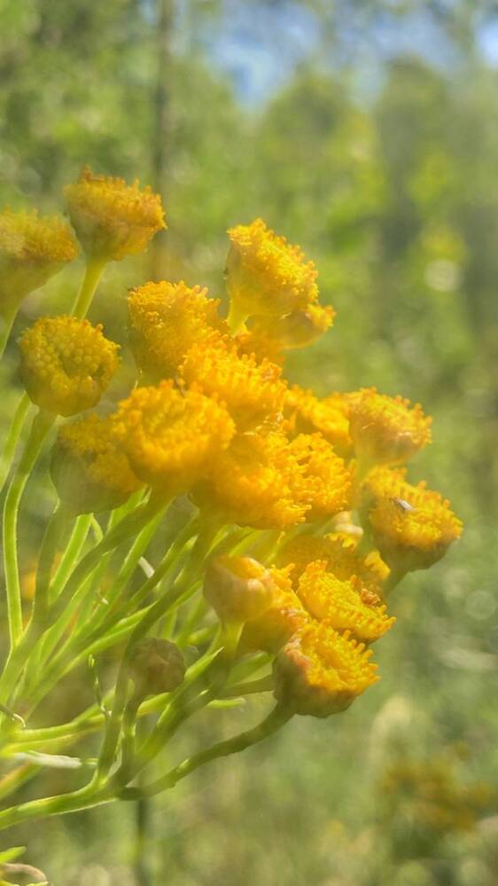 Photograph by Ксения Березкина