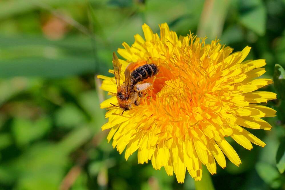 Фотография автора Светлана Долотова