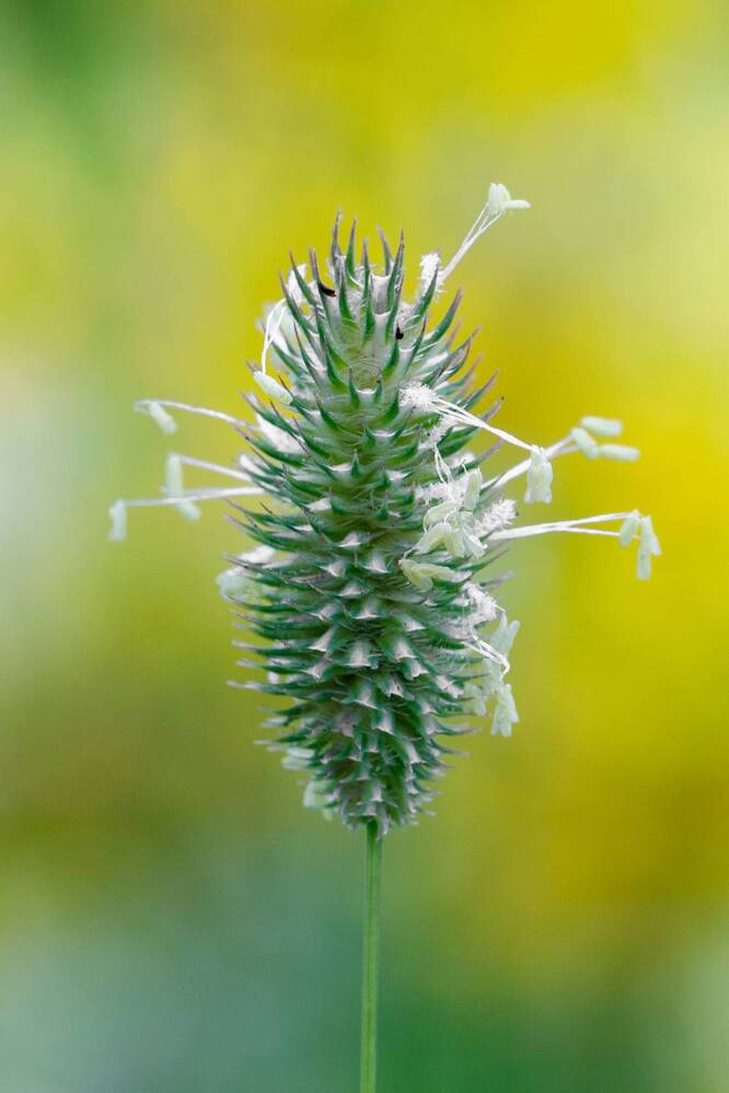 Photograph by Тоцкий Михаил