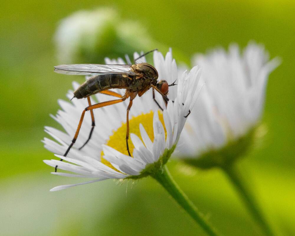 Photograph by Тоцкий Михаил