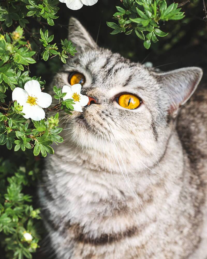 Photograph by Эльвира Курочкина