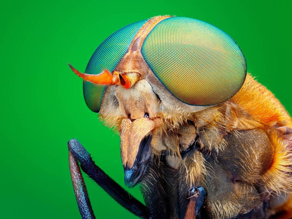 Фотография автора Tran Anh Tuan