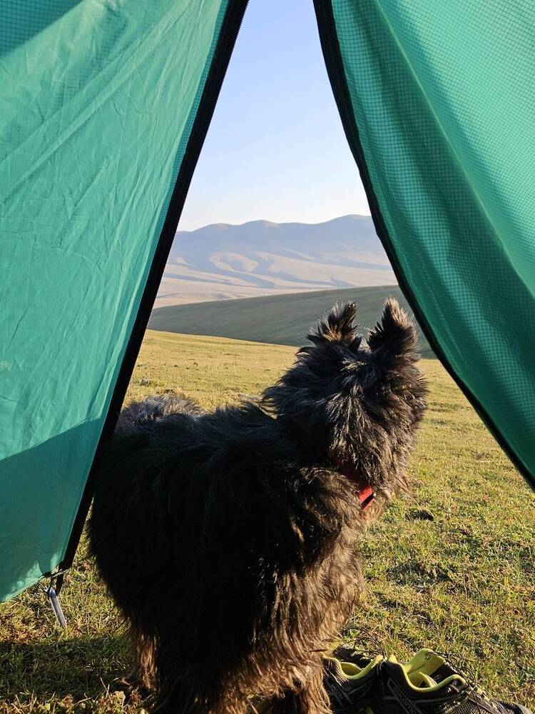 Photograph by Эльвира