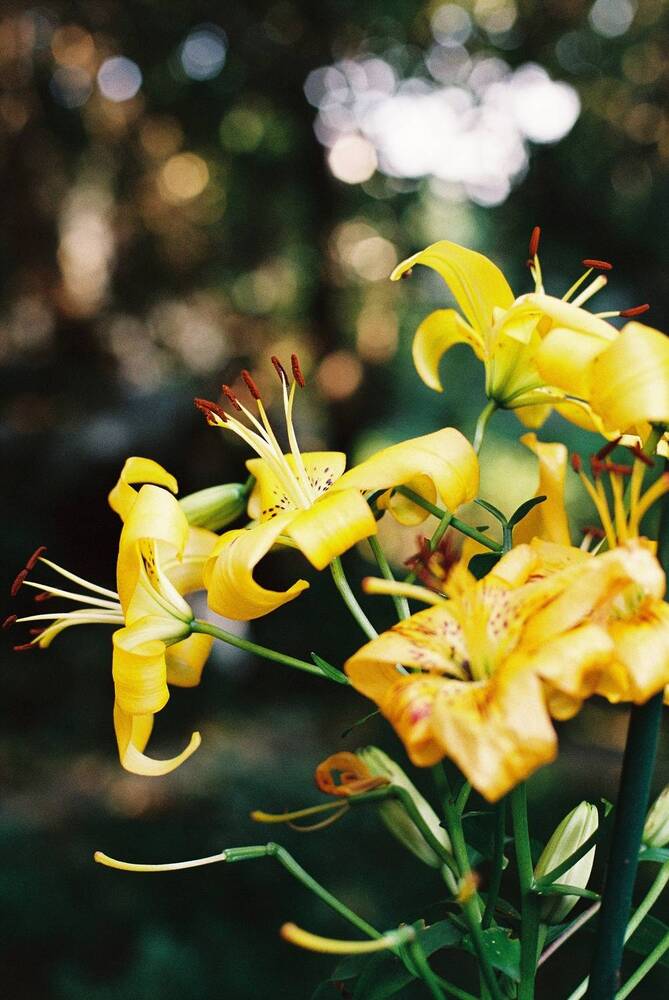 Photograph by Людмила Коновалова