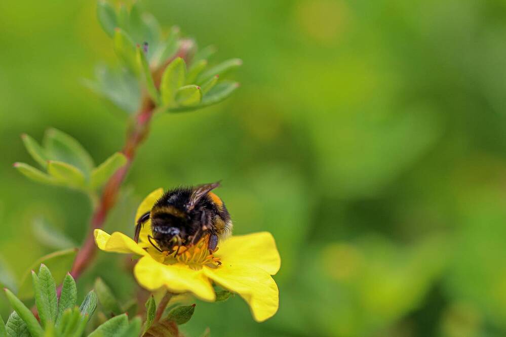 Фотография автора Светлана Долотова