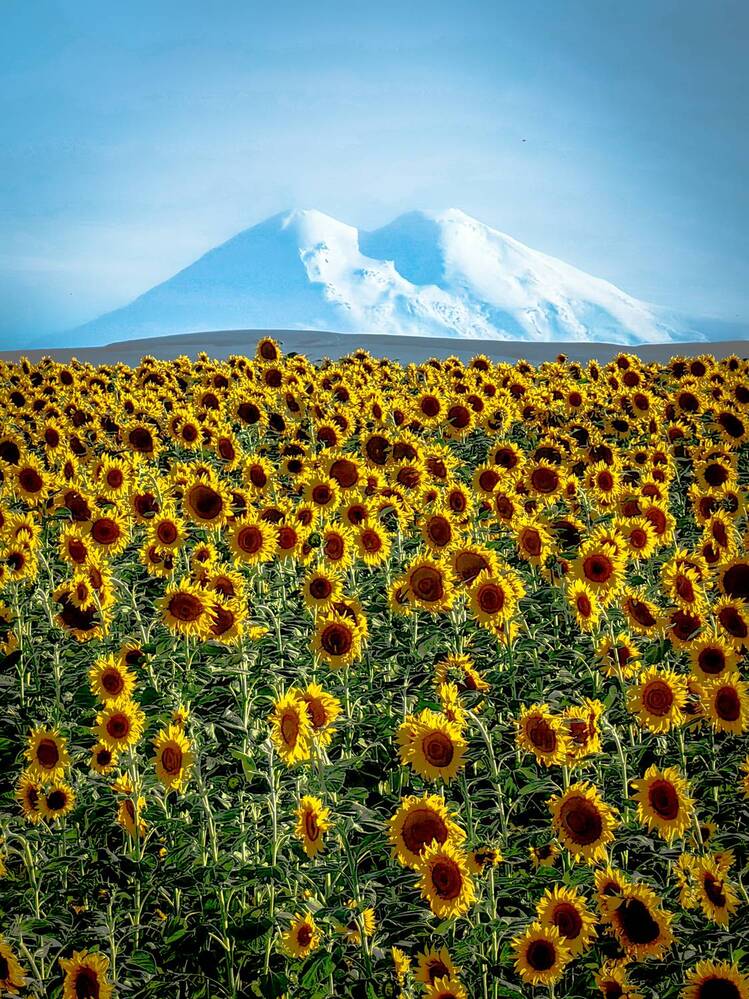 Photograph by Igor Maksimenko