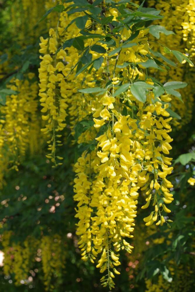 Photograph by Елена Щитова