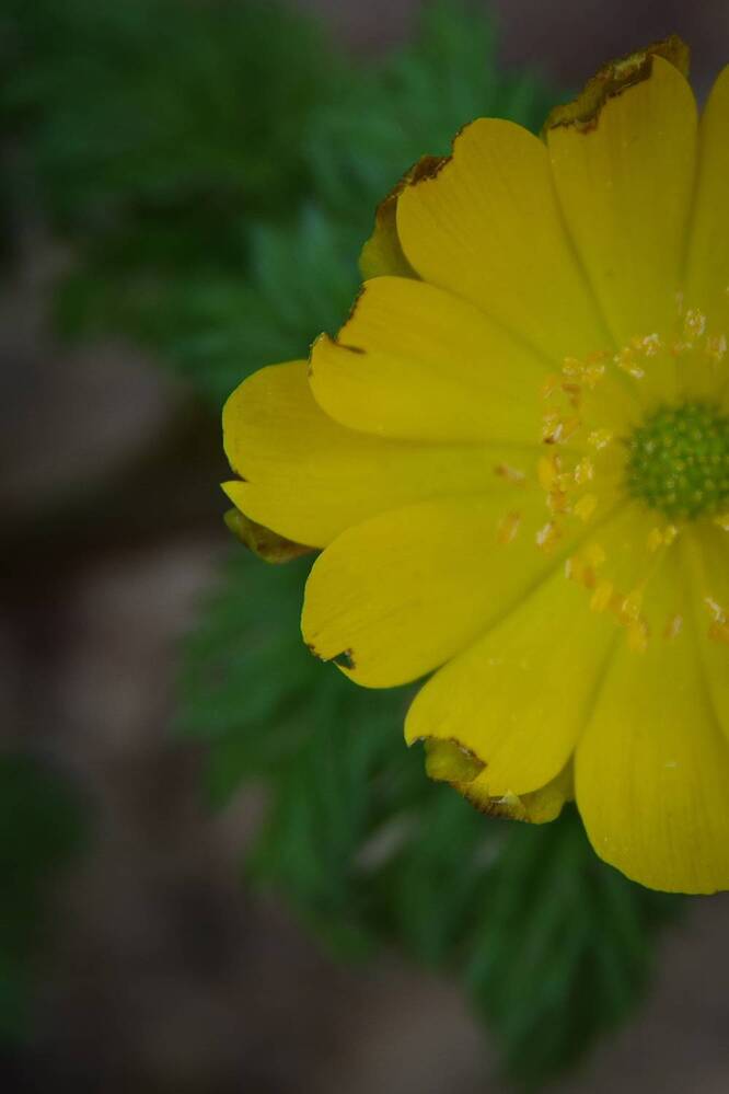 Photograph by Елена Щитова