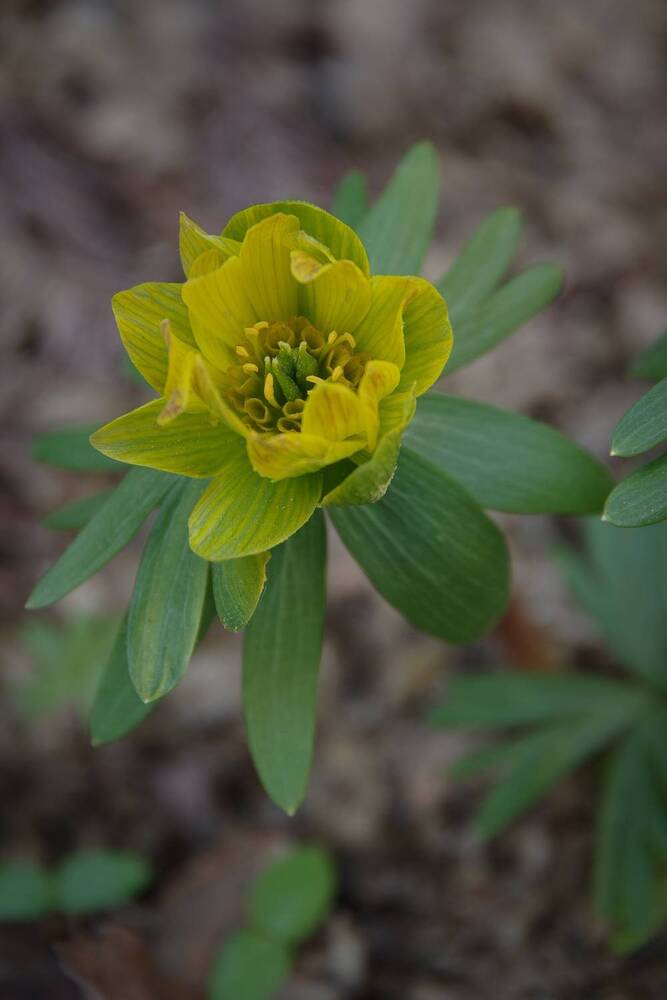 Photograph by Елена Щитова