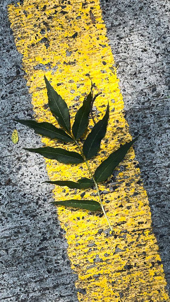 Photograph by Анна Чеснокова