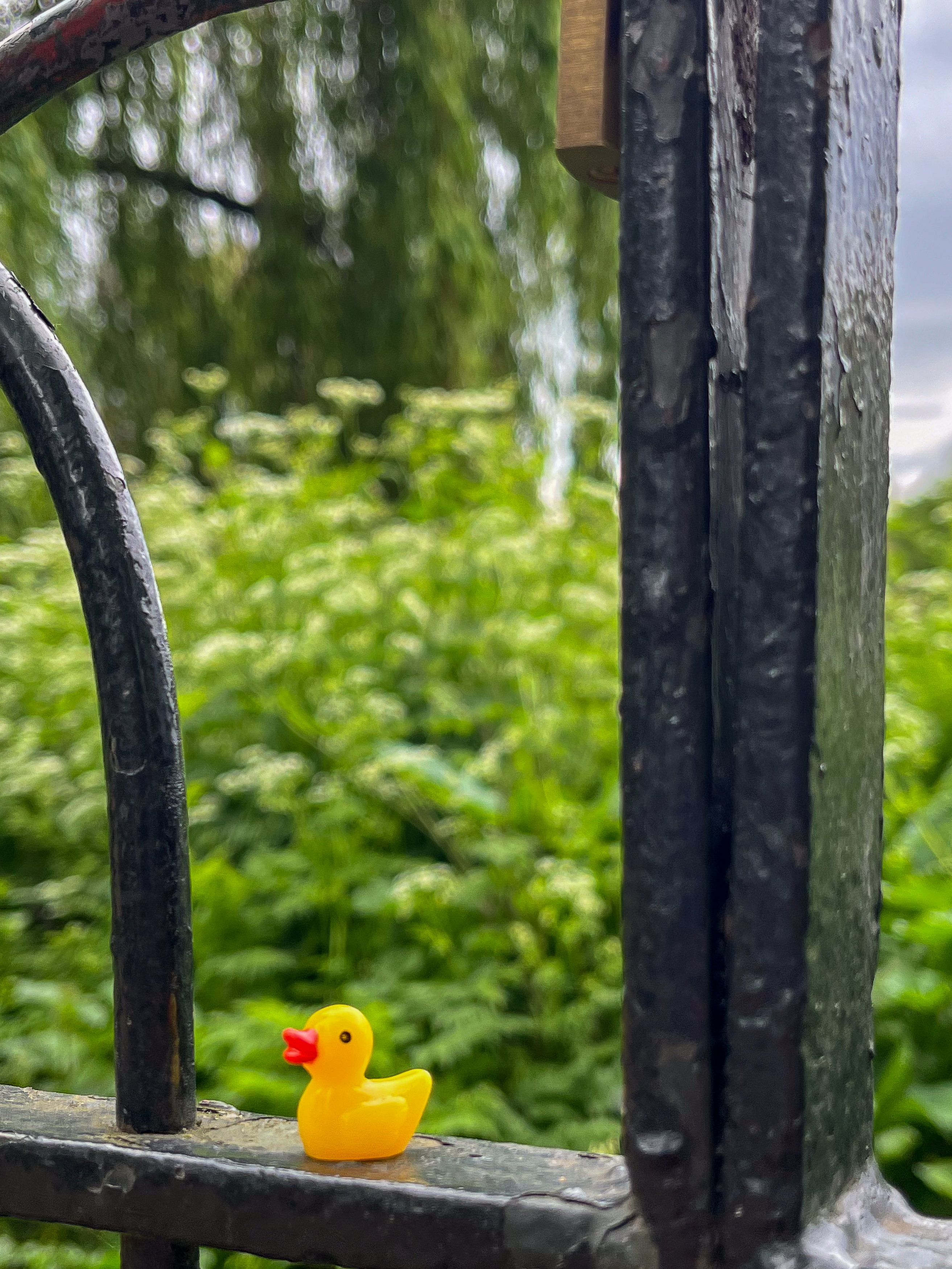 Photograph by Анна Чеснокова