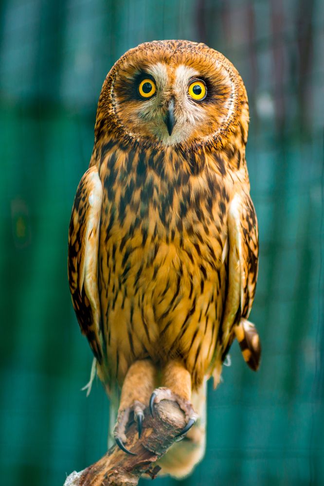 Photograph by Валерий Худынцев