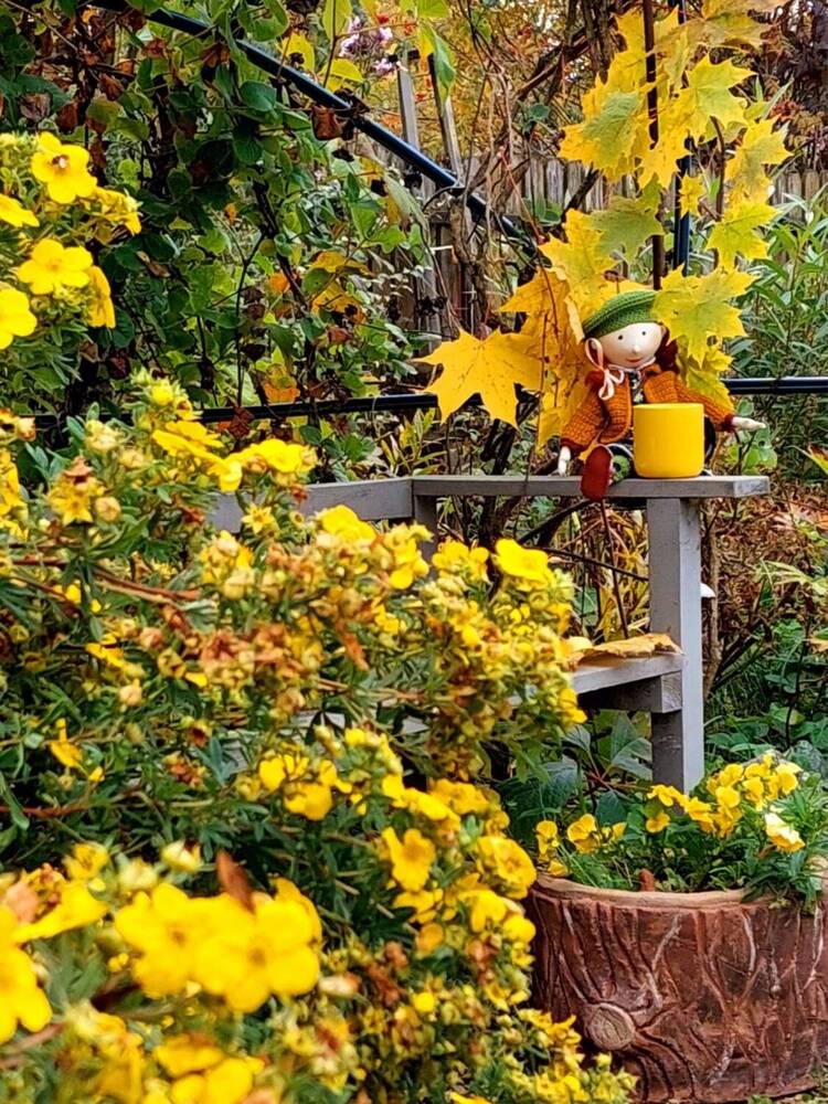 Photograph by Ирина