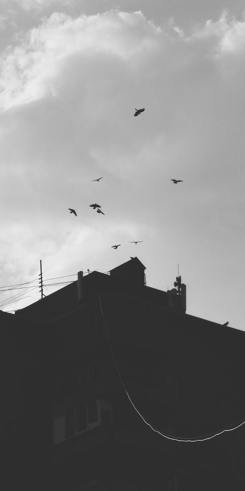 Photograph by Анна Чижова