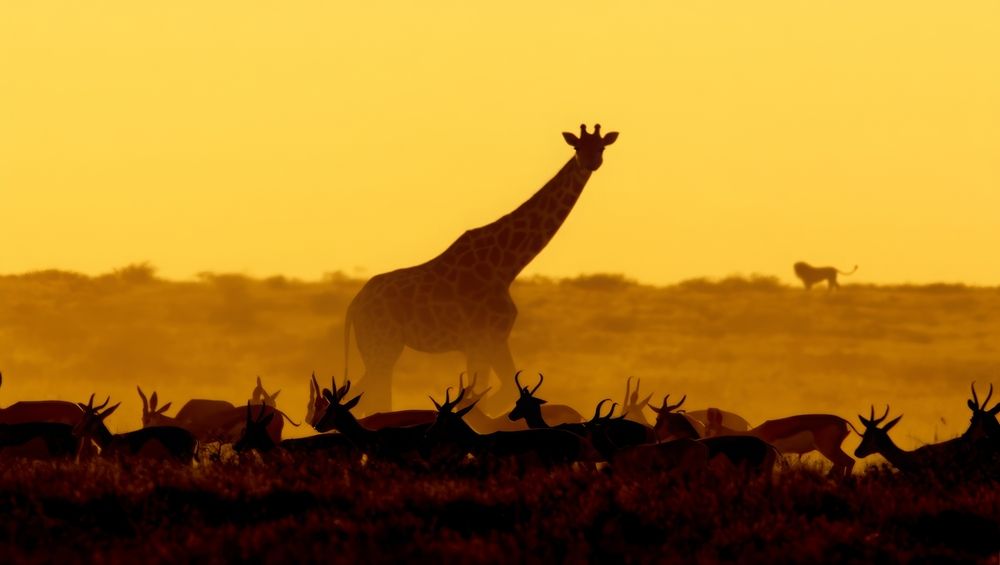 Фотография автора Михаил Бушенёв