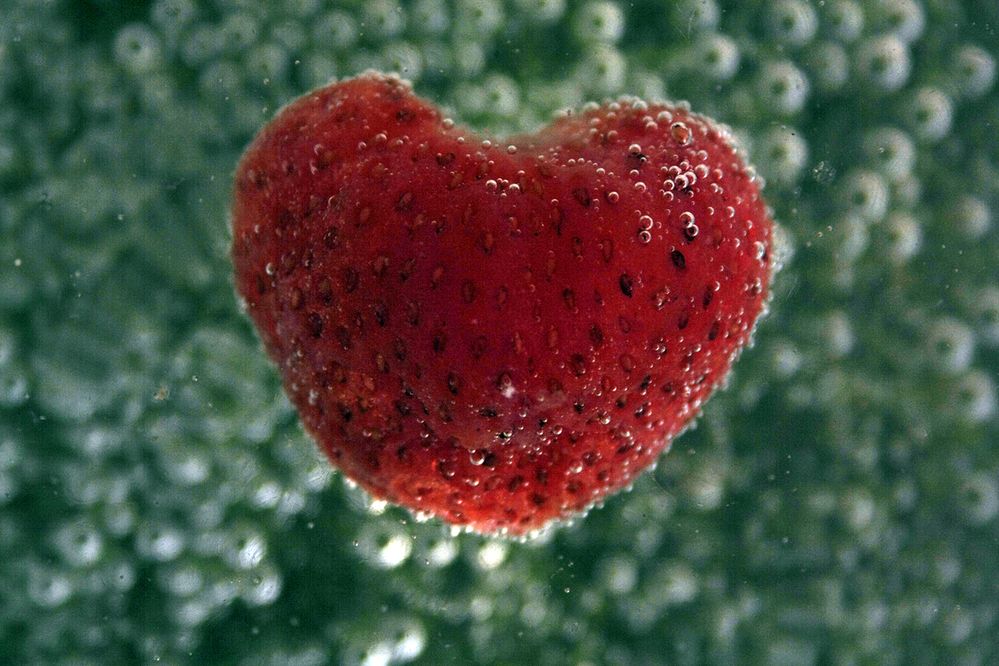 Photograph by Аркадова Елена