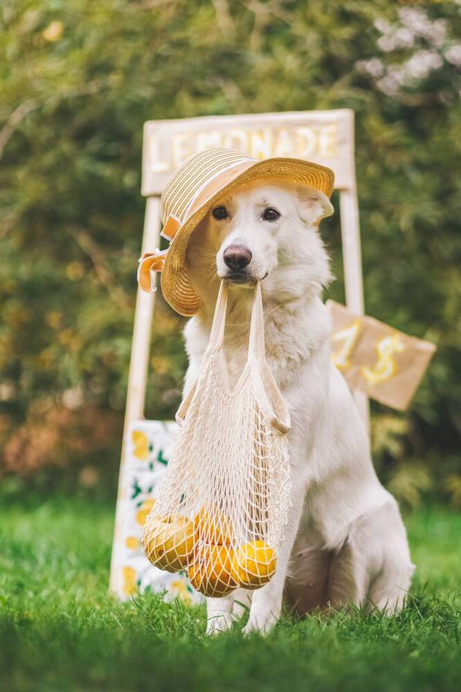 Фотография автора Марина Дятлова