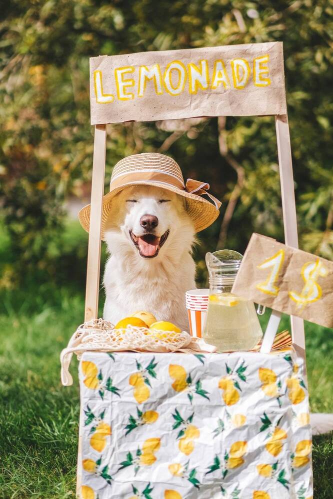 Фотография автора Марина Дятлова