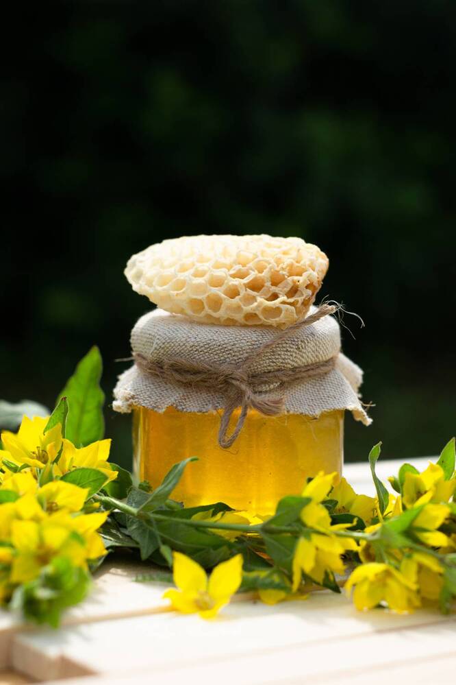 Photograph by Лина Матвеева