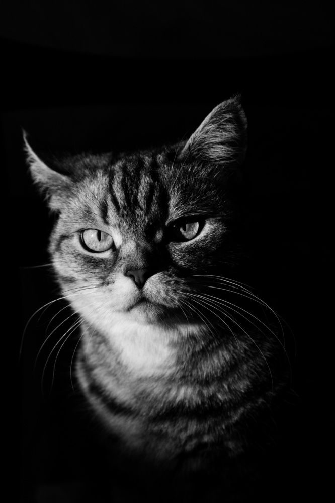 Photograph by Рената Тишина