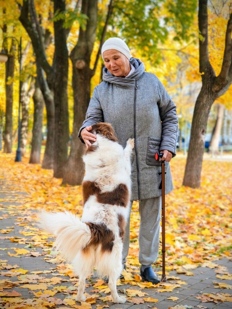 Photograph by Ксения Шилина