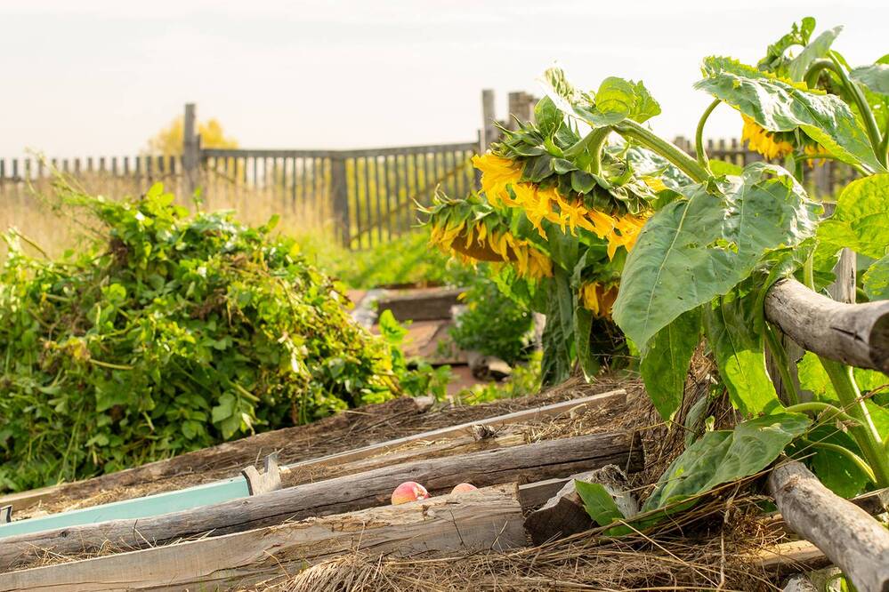 Photograph by Лина Матвеева