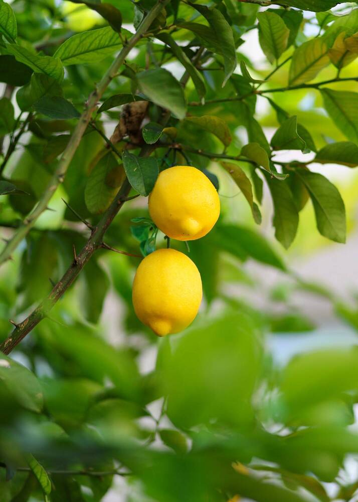 Photograph by Анна Яковлева