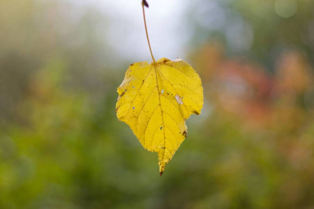 Photograph by Анна Яковлева