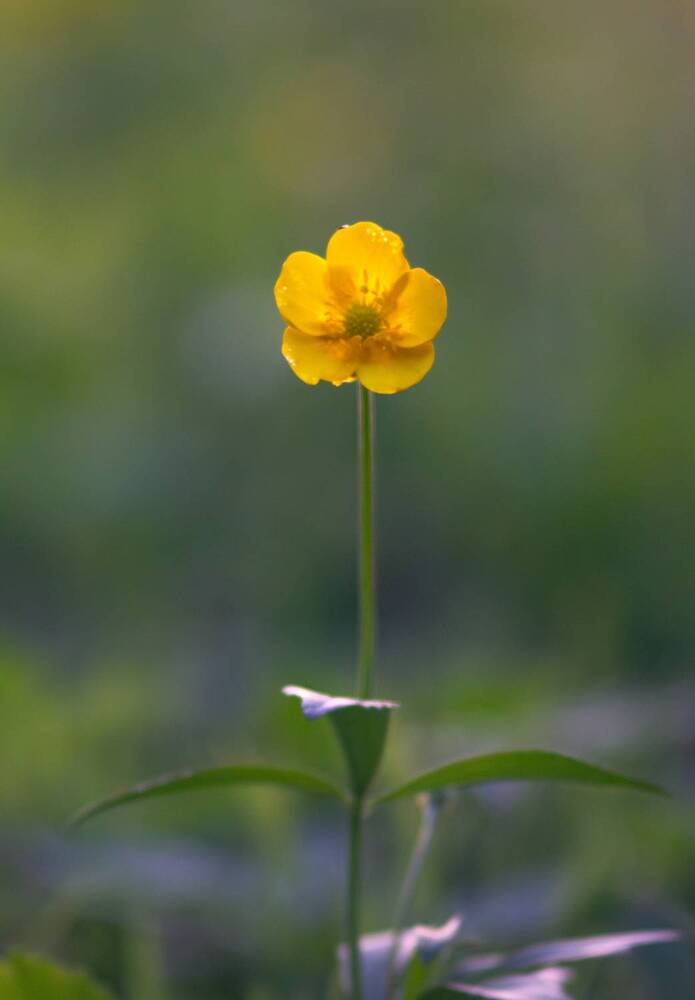 Photograph by Анна Яковлева